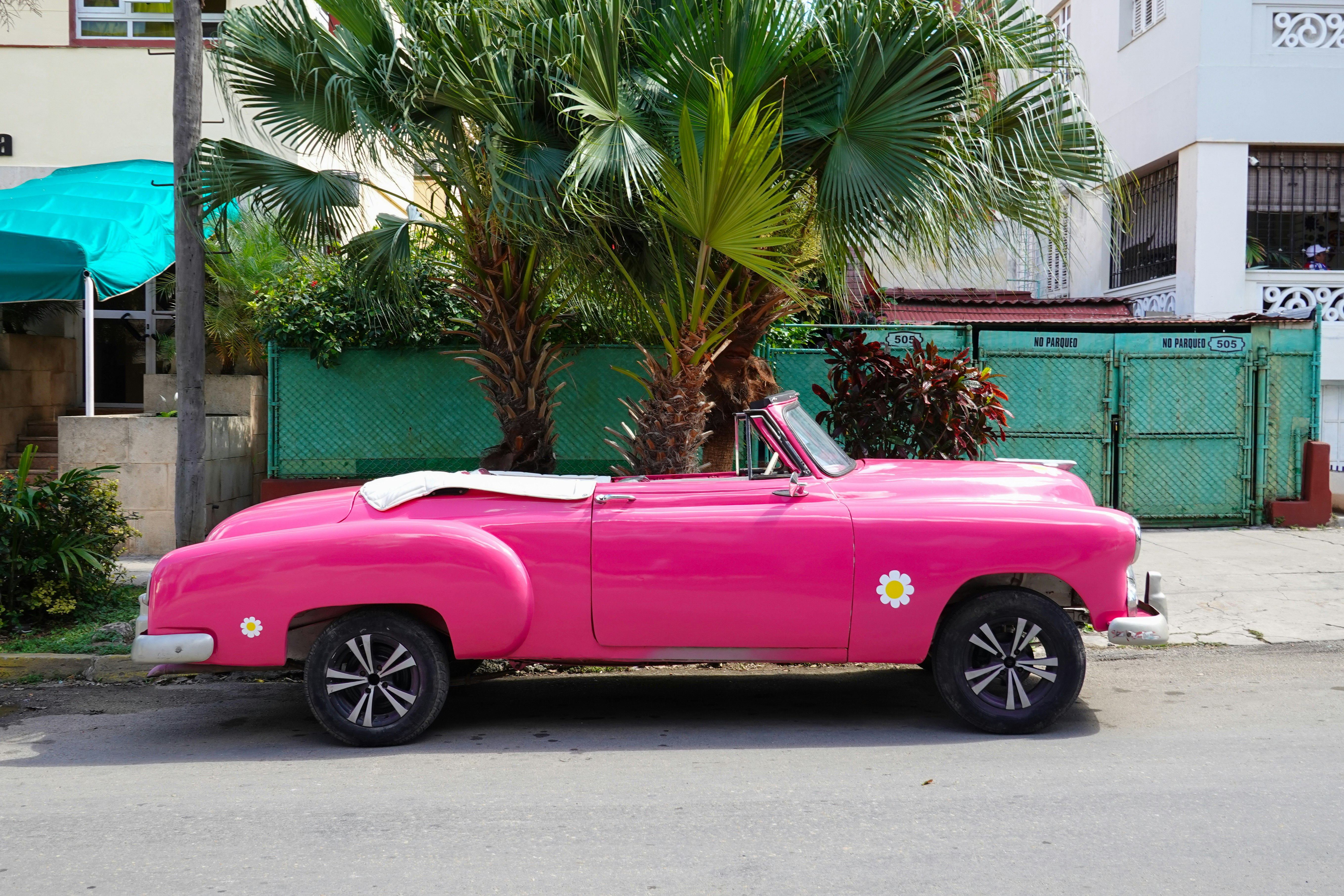 pink convertible car parked near palm tree during daytime